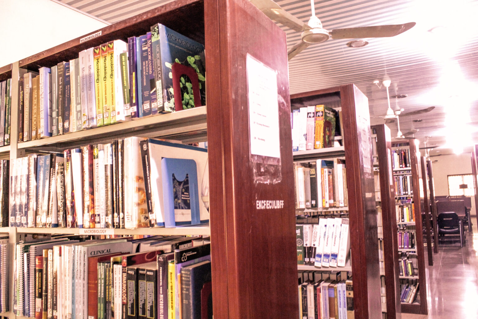Library - edwinclarkuniversity
